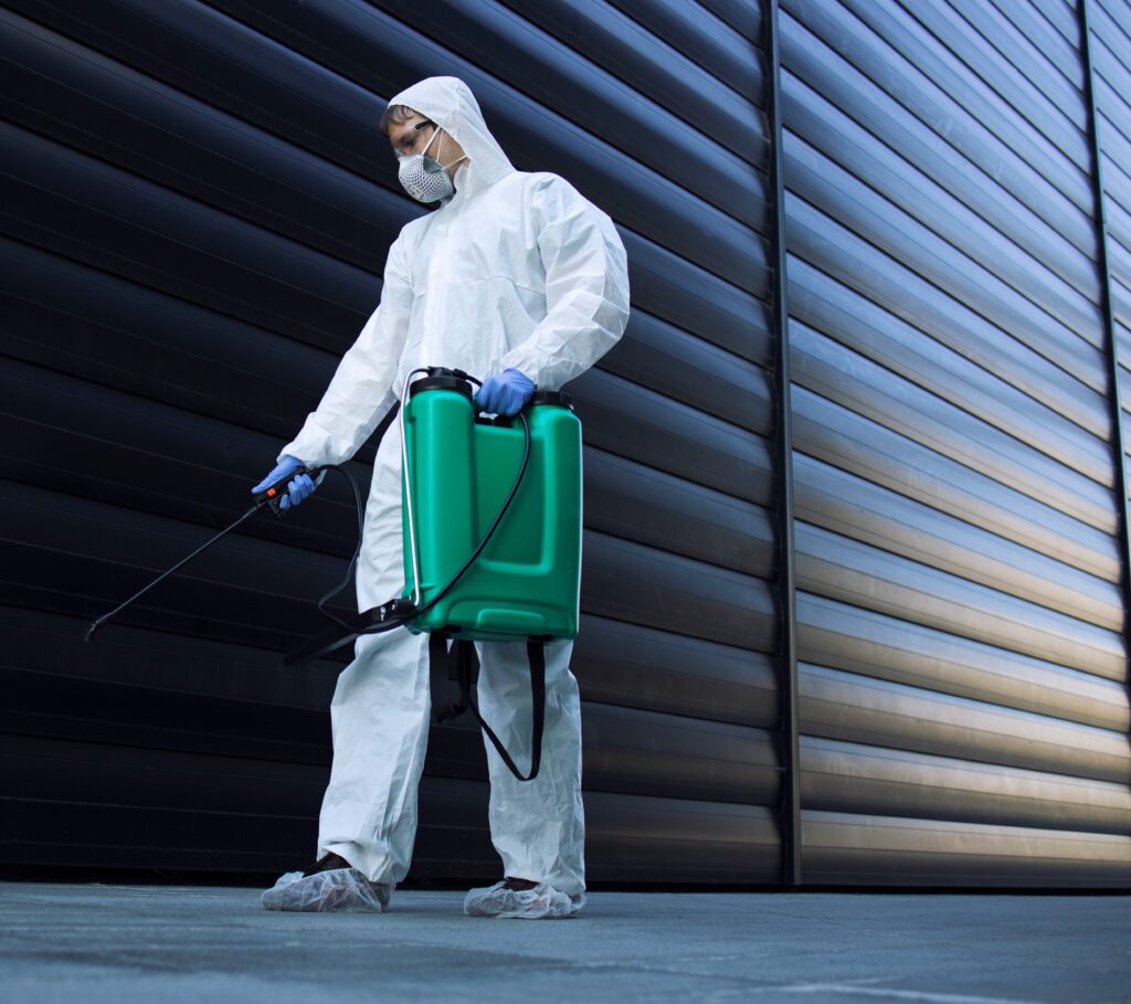 revelation pest control